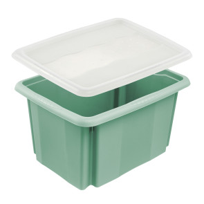 Plastový box Colours, 15 l, zelený s víkem